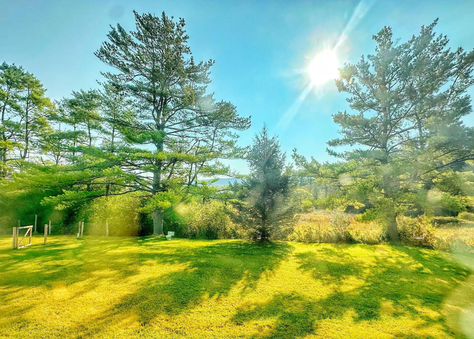 Brittany Motel Sunderland Bagian luar foto